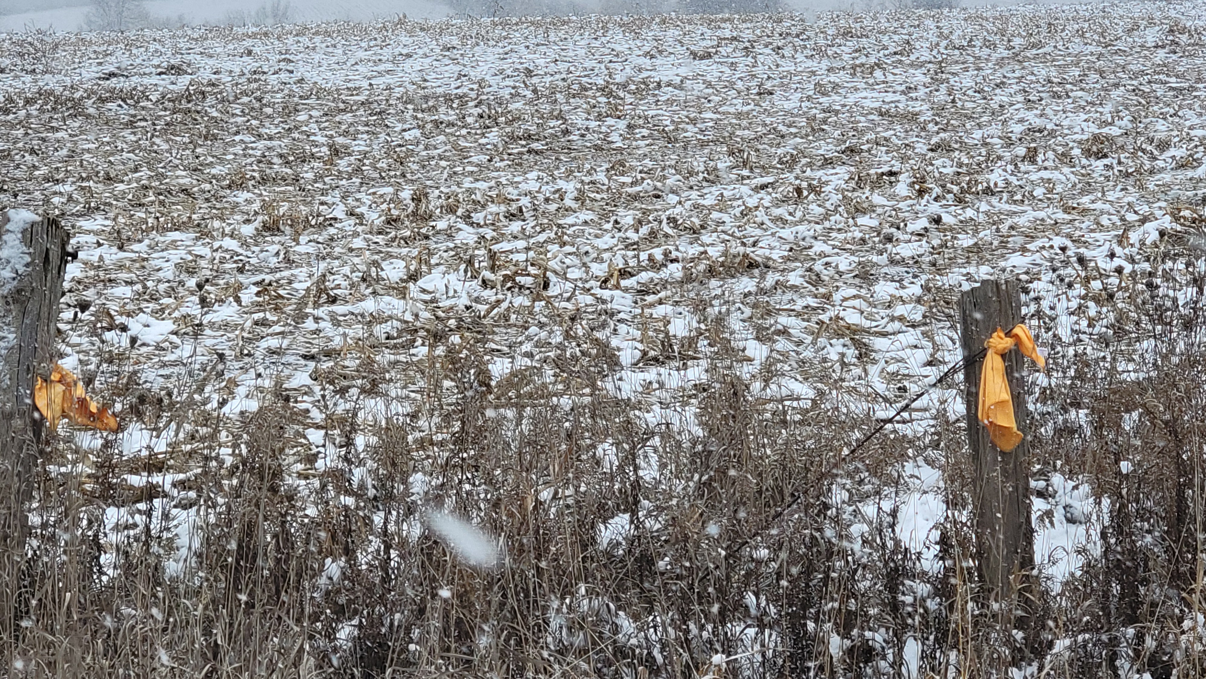 Vacant Land for Place of Worship preview 11